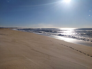 Fototapeta premium Breathtaking sundrenched beach with rolling white waves crashing on golden sand under a clear blue sky. Footprints lead the way, symbolizing a peaceful journey and summer freedom.