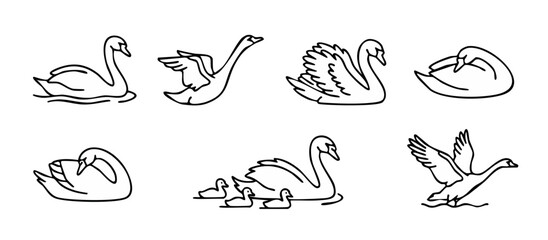 Obraz premium Swan Icons Set Line Art Collection Black And White Vector Illustration of Graceful Water Birds in Different Poses Swimming Flying and Mother with Cygnets for Wildlife Design Projects Minimalist Style