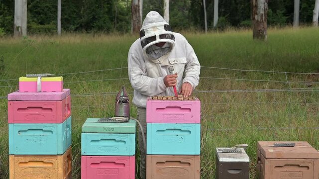 Beekeeper apiarist manages honeybee colonies in hives.A beekeeper (or apiarist) is someone who manages honeybee colonies in hives to harvest products like honey and beeswax or to provide pollination s