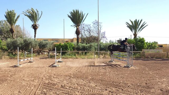 Young equestrian rider jumping over barrier on dark bay horse in outdoor sand arena