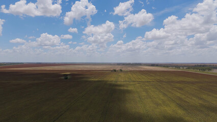 Naklejka premium Aerial View of Expansive Australian Farmland Under a Cloudy Blue Sky