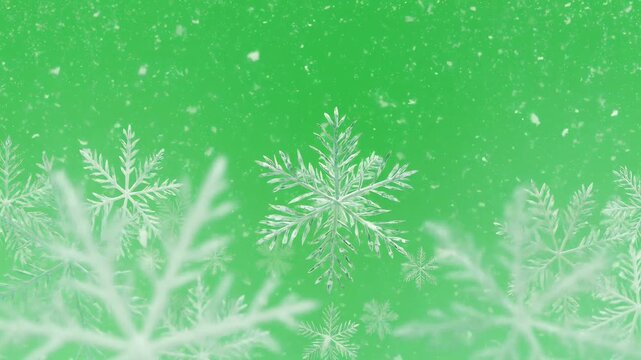 Elegant White Snowflakes Gently Falling Against a Vibrant Green Background with Soft Focus and Bokeh Effect A Mesmerizing Winter Wonderland Animation