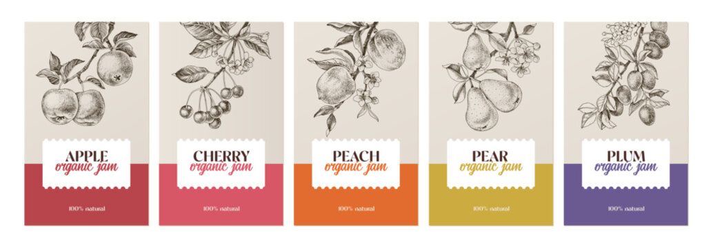 Fruit jam vector labels set