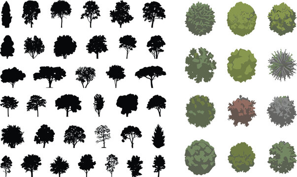 Detailed collection of diverse tree silhouettes and top‑down canopy views showcasing natural foliage textures, landscape design elements, and environmental illustration resources for eco‑friendly proj