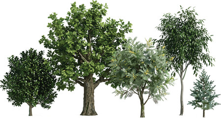 Fototapeta premium Collection of Green Deciduous and Coniferous Tree Vector Icons with Lush Leaves and Realistic Textures for Landscape Design, Nature Illustration, and Forestry Projects
