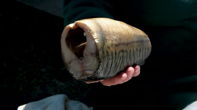 Smoked mackerel close-up. Delicious smoked fish close-up, the process of preparing it for eating. Cold-smoked fish.