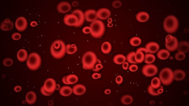 Red blood cells flowing through a human artery under microscopic view illustration