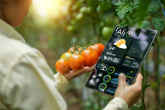 Agricultural technology concept: AI systems, people working on a farm using tablets controlled by cutting-edge technology for smart farming systems.