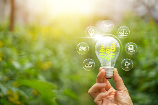 Agricultural technology concept: AI systems, people working on a farm using tablets controlled by cutting-edge technology for smart farming systems.