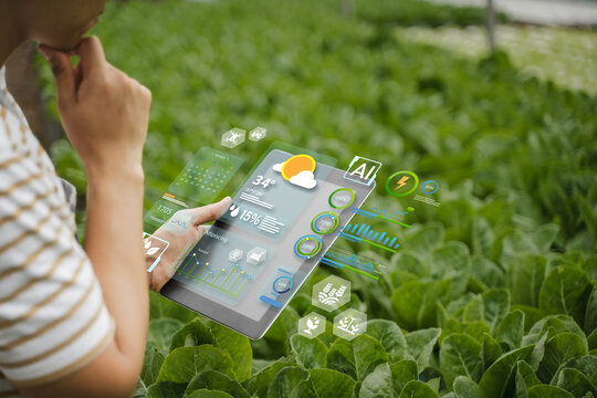 Agricultural technology concept: AI systems, people working on a farm using tablets controlled by cutting-edge technology for smart farming systems.