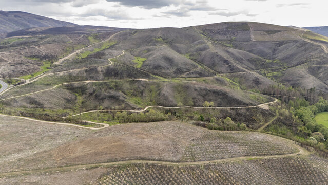 Aerial view of rolling hills with winding dirt roads and patches of green vegetation under a cloudy sky Province of Ourense, Spain.