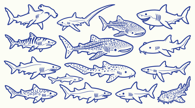 Collection of various shark species in a hand-drawn style, featuring different sizes and shapes of these ocean predators.