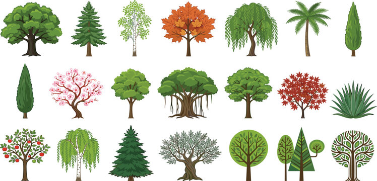 Large collection of diverse tree vectors featuring oak pine palm willow birch and fruit tree botanical species