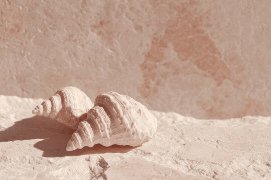 Two seashells sitting on top of a stone wall. the shells are white in color and have a conical shape. the wall is a light color and has a rough texture.