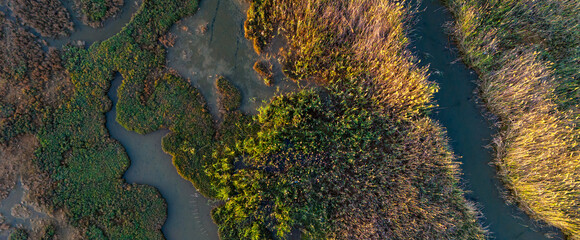 Aerial capture of complex muddy terrain mixing with bright green and golden vegetation © Buğra Kaan Ersoy