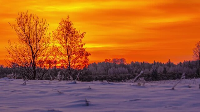 Breathtaking winter sunrise timelapse over snow-covered Latvian field with bare tree silhouettes, glowing sun and dramatic fiery orange sky shifting to gold