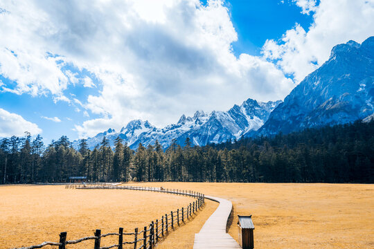 The scenery of the walking plank road at Yushanping, Jade Dragon Snow Mountain in Lijiang, Yunnan Province, China