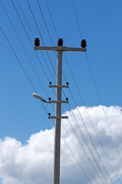 A concrete utility pole in a distribution network features insulators, crossarms, conductors, and a streetlight, ensuring safe, durable medium to low-voltage power delivery.