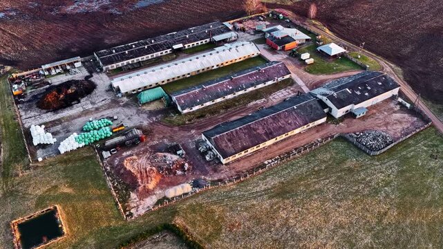 Industrial hog farm complex with barns for livestock production and animal feeding