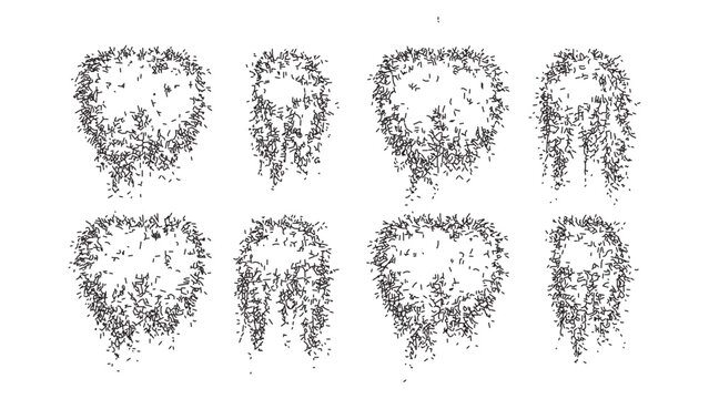 Set of hanging floral bush sketches for landscaping and garden design illustrations.