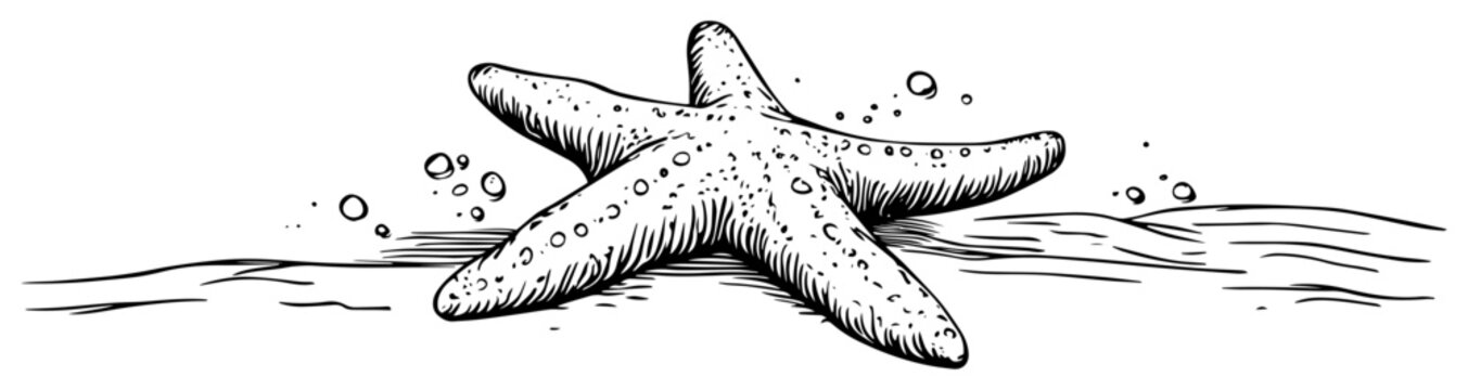 Starfish on beach in water with bubbles hand drawn vintage engraving style marine life ocean creature illustration