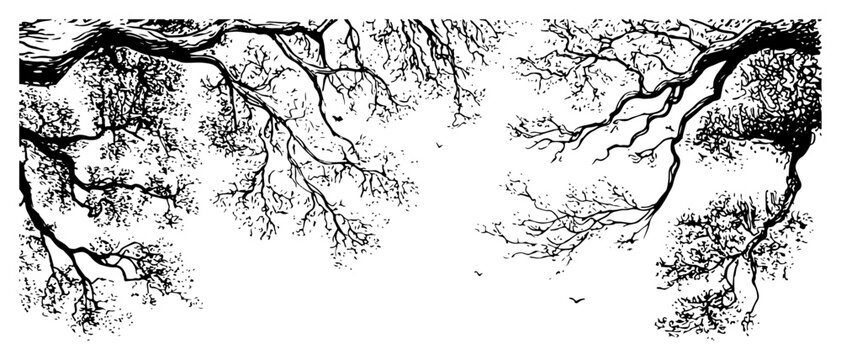 Tree branches silhouette set hand drawn intricate organic lines vintage engraving style for nature backgrounds