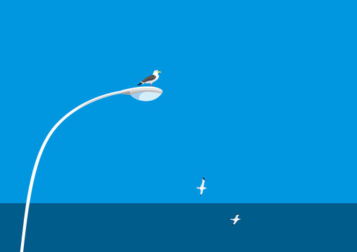 カモメと電灯と青空と水平線のイラスト