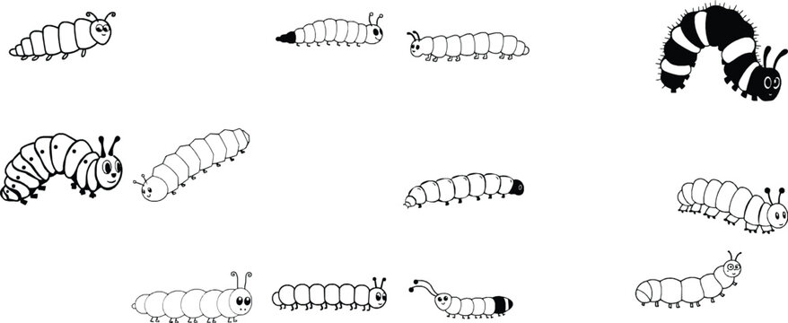 Caterpillar Outline Illustration Segmented Body Simple Shapes Isolated on White Background