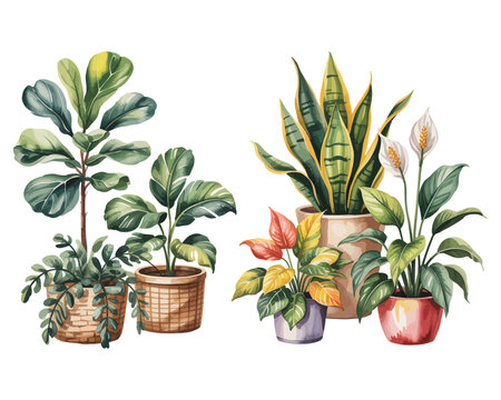 Watercolor Plants" Images  Browse 4,958 Stock Photos, Vectors, and Video |  Adobe Stock
