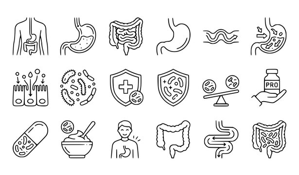 Digestive system health and gut microbiome a collection of line icons representing internal organs and wellness