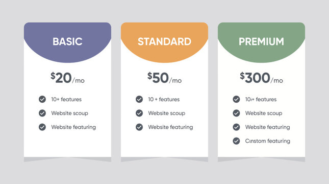 Three different pricing plans for website services basic standard and premium.