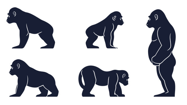 Silhouettes of gorillas in various stances, walking, standing, and depicting size variations