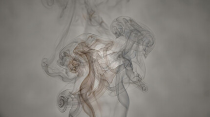 Fototapeta premium Gray sketch of a horse running.