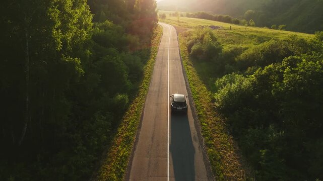 Car travels along a winding rural road. Sunlight bathes the scene in warm, golden hues. Lush green trees and grassy fields line both sides of the road. The vehicle moves steadily forward