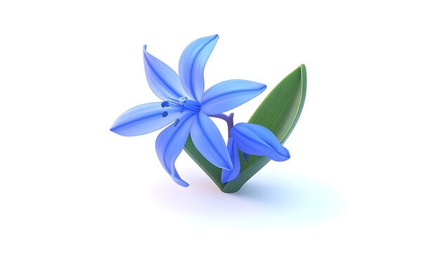 Isolated blue scilla flower with a green leaf and stem, delicate spring blossom, on a clean white background