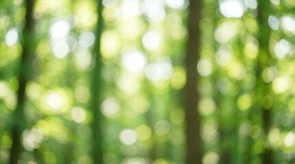 Obraz premium Blurred green leaves in a forest environment.