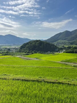 Obasute Terraced Rice Fields in Chikuma, Nagano, Japan