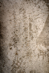 Obraz premium Close-up of gray mountain rock surface for background