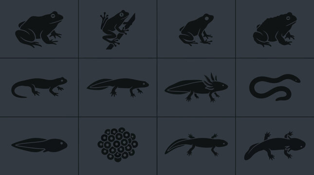 Flat silhouette icon set of amphibians, bullfrog, tree frog, poison dart frog shape, toad, salamander, newt, axolotl, caecilian body form, tadpole, frog eggs cluster shape, aquatic salamander 