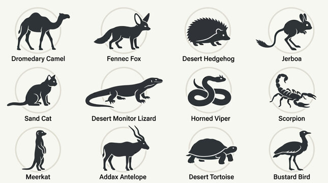 Flat silhouette vector icon set of desert animals  dromedary camel  fennec fox  desert hedgehog  jerboa  sand cat  desert monitor lizard  horned viper  scorpion  meerkat  addax antelope  desert tortoi