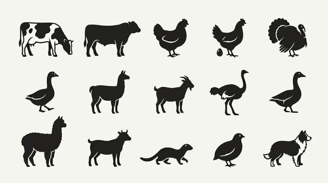Flat silhouette icon set of modern farm animals  dairy cow  beef cattle  broiler chicken  laying hen  turkey  goose  alpaca  llama  mink  ostrich  quail  farm dog