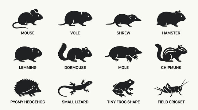 Flat silhouette icon set of small animals and microfauna  mouse  vole  shrew  hamster  lemming  dormouse  mole  chipmunk  pygmy hedgehog  small lizard  tiny frog shape  field cricket
