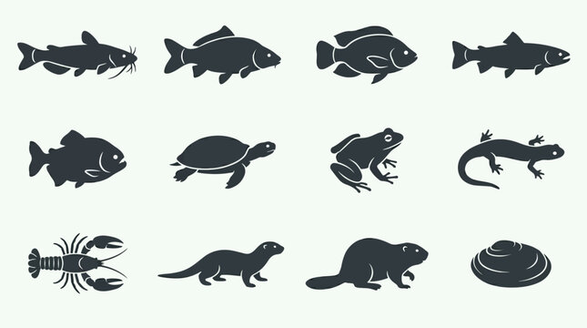 Flat silhouette vector icon set of freshwater animals  catfish  carp  tilapia  trout  piranha  freshwater turtle  frog  salamander  crayfish  river otter  beaver  freshwater mussel