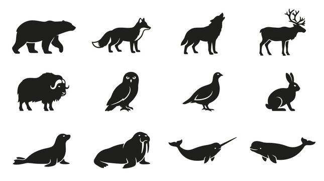 Flat silhouette icon set of polar animals  polar bear  arctic fox  arctic wolf  reindeer  musk ox  snowy owl  ptarmigan  polar hare  seal  walrus  narwhal 