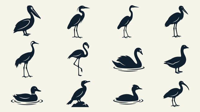 Flat silhouette vector icon set of water birds  pelican  heron  egret  stork  crane bird  flamingo  swan  goose  duck  cormorant  grebe