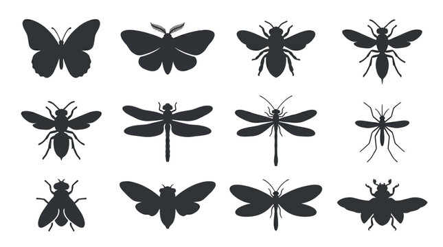 Flat silhouette vector icon set of flying insects  butterfly spread wings  moth  bee  wasp  hornet  dragonfly  damselfly  mosquito  fly  cicada  lacewing  beetle flying