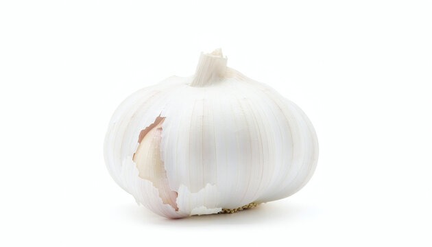 Whole garlic bulb isolated