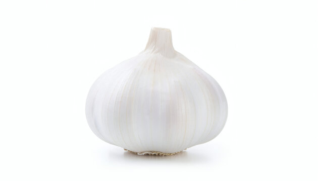 Whole garlic bulb isolated