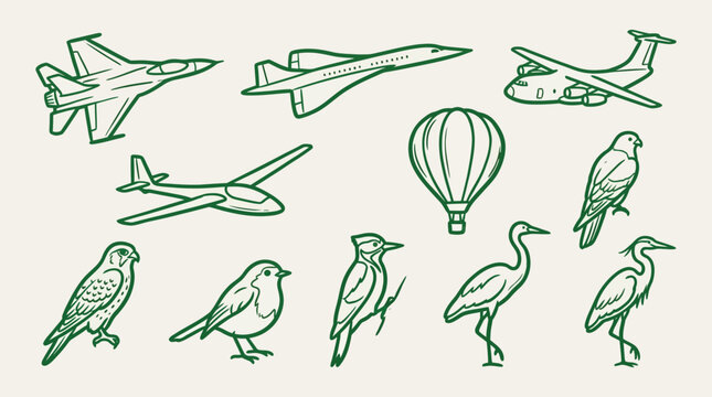 Collection of hand-drawn aircraft and birds in green outline, featuring various flying objects and creatures.