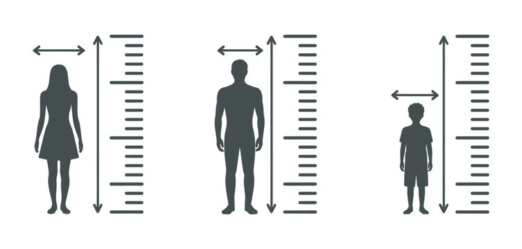 Human height growth measurement icon set, person silhouette with ruler scale fitness body size vector design for health tracking, growth monitoring and anthropometric measurement concept
